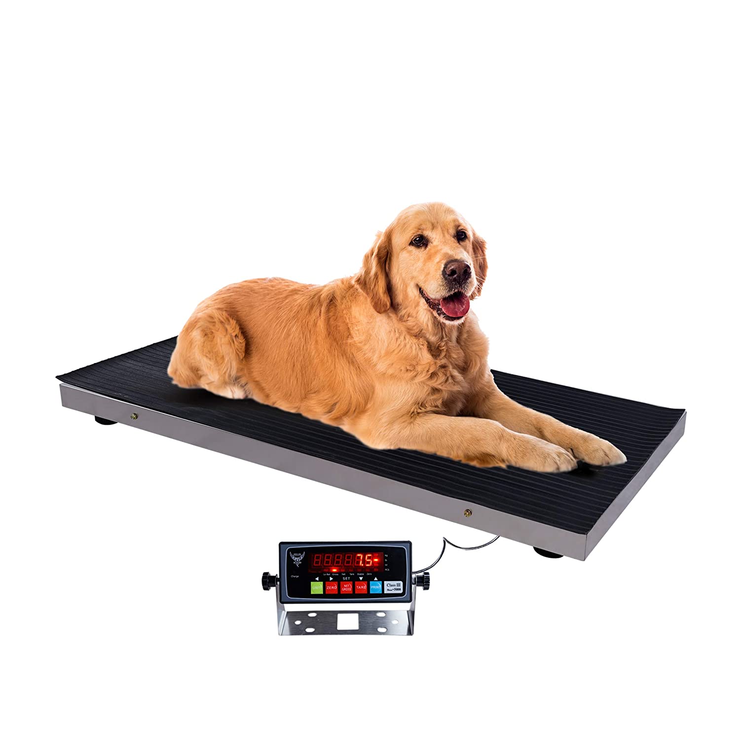 Small Weight Scale, Small Animal Scale