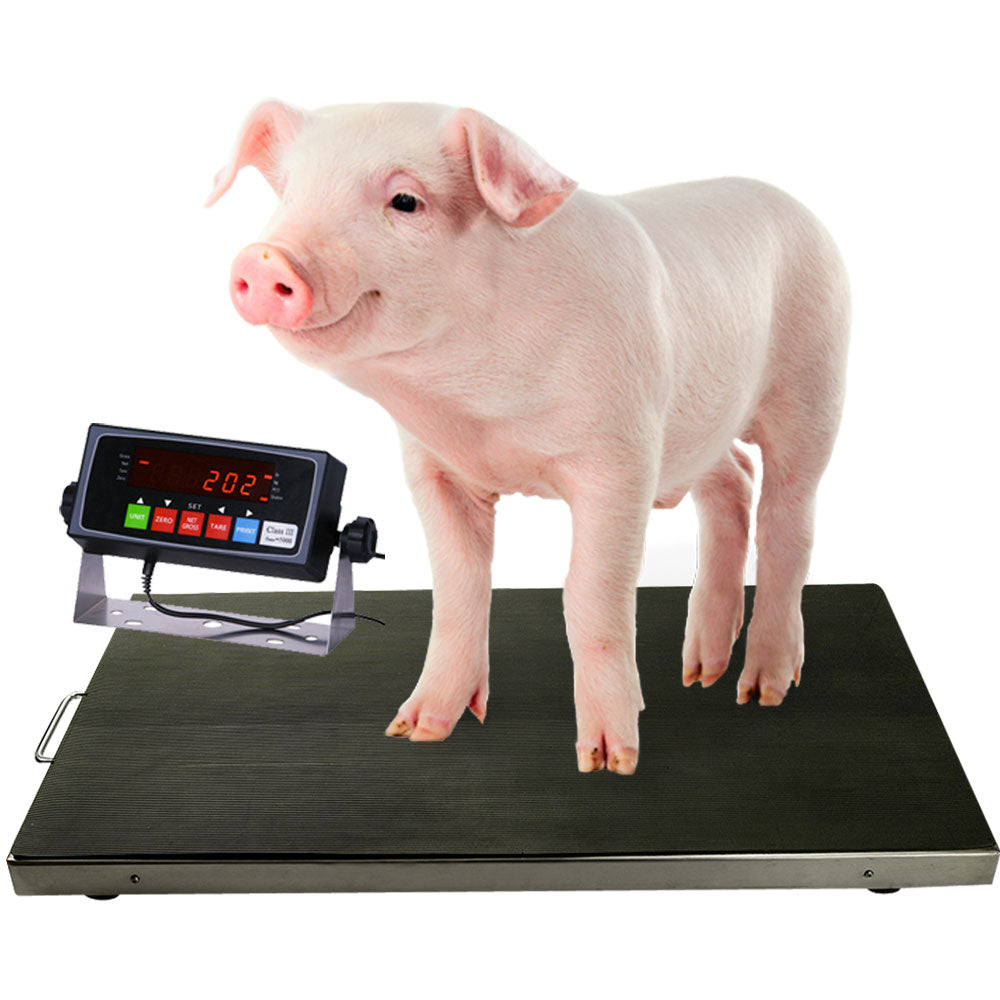 PEC Scales 700lbs Vet Animal Scale/Farm Livestock Scale, 38″ x 20″ for Small to Medium Sized Animals