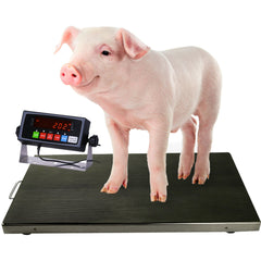 PEC Scales 700lbs Vet Animal Scale/Farm Livestock Scale, 38″ x 20″ for Small to Medium Sized Animals