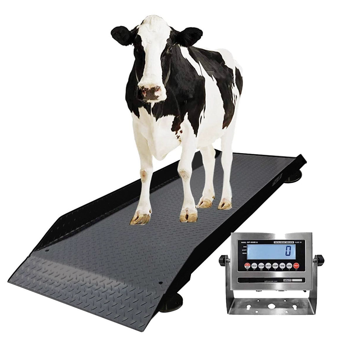 PEC Scales Medium Livestock Scale/Farm Animal Weighing Equipment, Capacity 2000 x 0.2 lb for Sheep, Goat, Alpaca, Pig, etc.