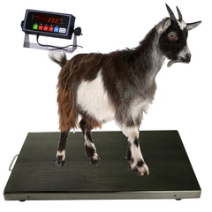 PEC Scales 700lbs Vet Animal Scale/Farm Livestock Scale, 38″ x 20″ for Small to Medium Sized Animals